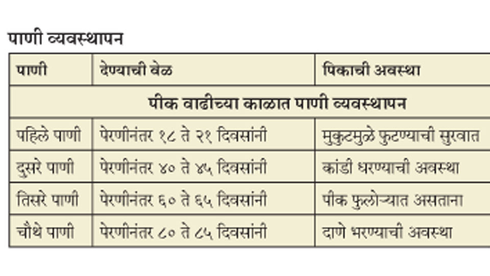 गव्हाला द्या संरक्षित पाणी गव्हाला द्या संरक्षित पाणी