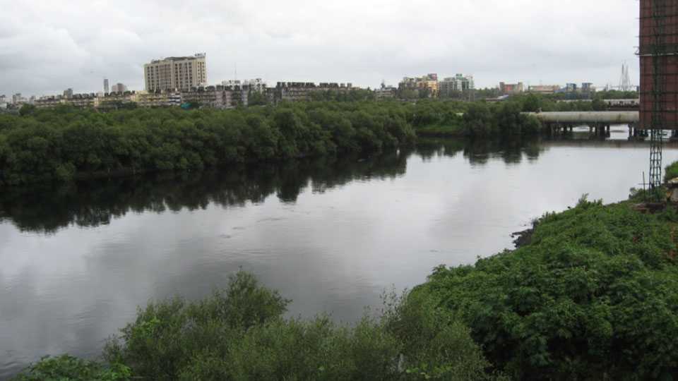 Mithi-River